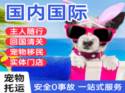 漠河古莲航空物流国际宠物托运 【国